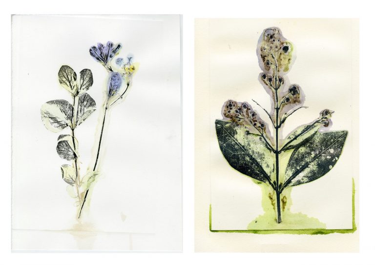 Abstracting Nature