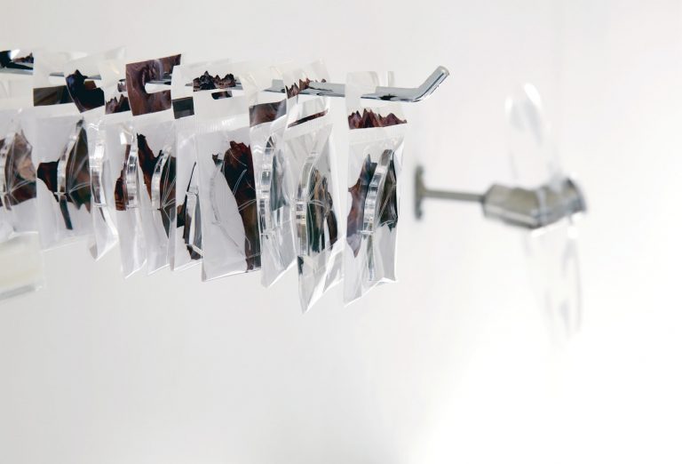 Spotlight Artist | Artist Abroad | Sarah Finney