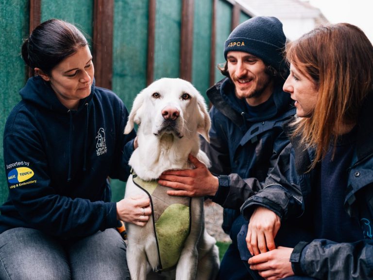 Pet of the Month: Pablo
