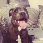 Brodie-DOTY_copy
