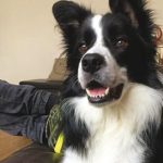 Winston-DOTY_copy