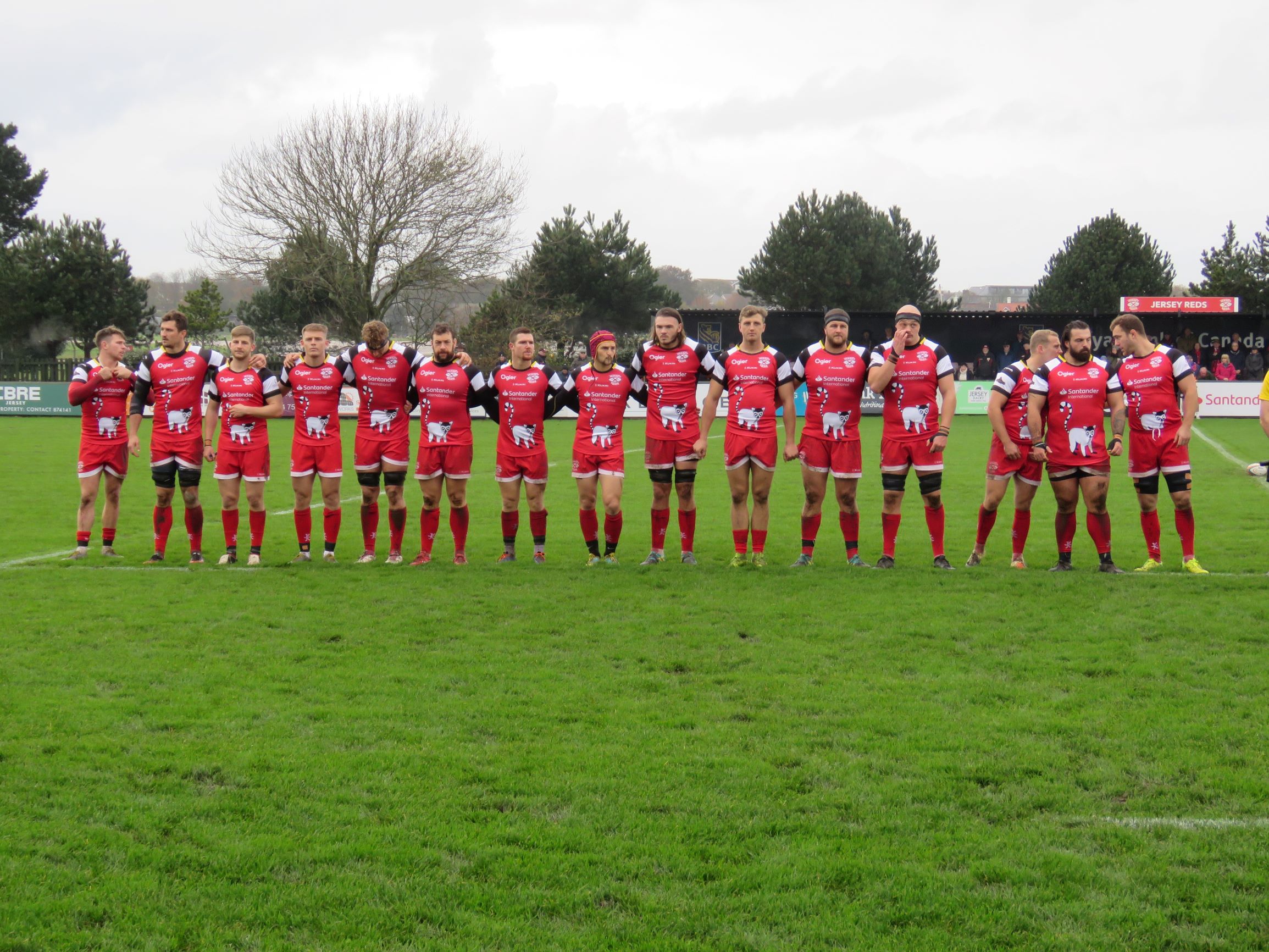 jersey reds rugby