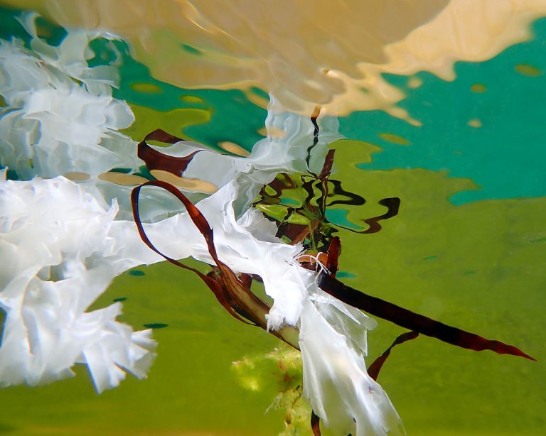 Submerged